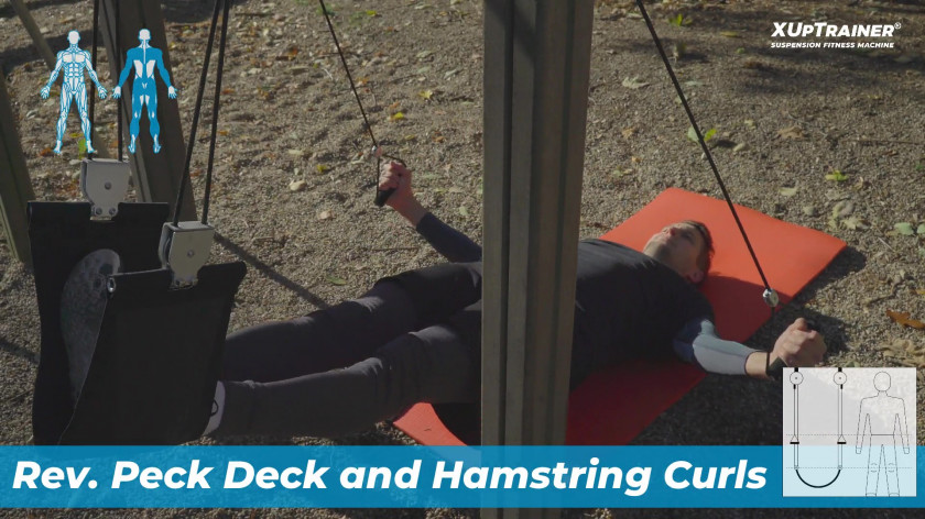 XUP backplank rev. peckdeck and hamstrings curls - upper back, rear thighs, core